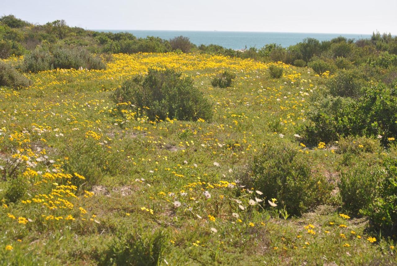 Stay At Bokkoms In Paternoster Self Catering Accommodation Εξωτερικό φωτογραφία