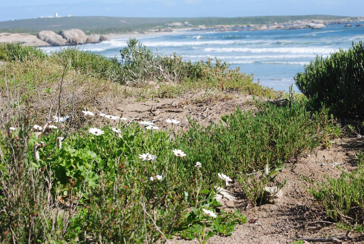 Stay At Bokkoms In Paternoster Self Catering Accommodation Εξωτερικό φωτογραφία