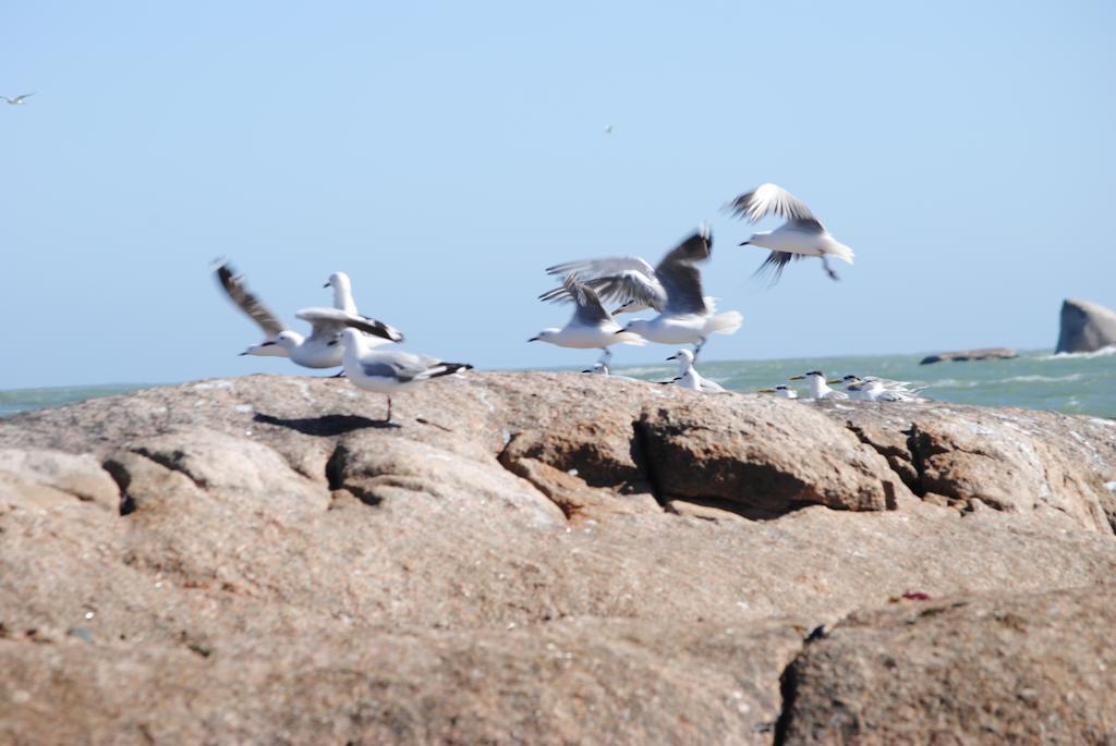 Stay At Bokkoms In Paternoster Self Catering Accommodation Εξωτερικό φωτογραφία